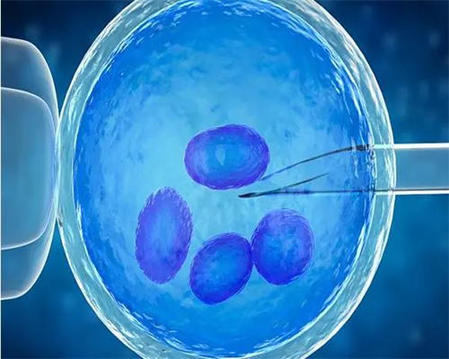 武汉代生机构可信吗,武汉供卵试管机构(武汉最大供卵机构)