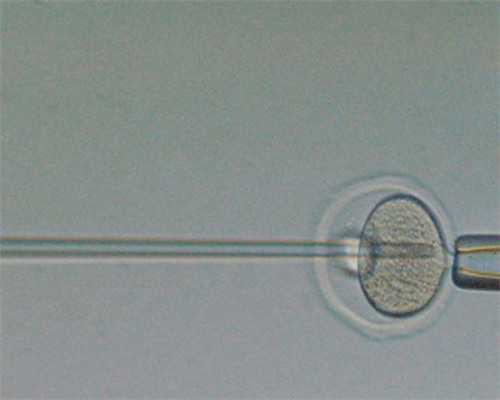 怎样进行婴儿抚触,婴儿抚触前的准备