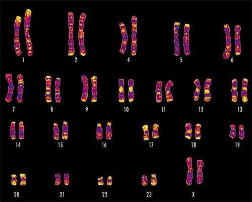 武汉可靠代怀医院,武汉同济医院试管医生(武汉协和医院试管)