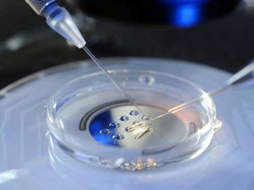 武汉代生男孩流程,武汉供卵三代医院,武汉供卵医院