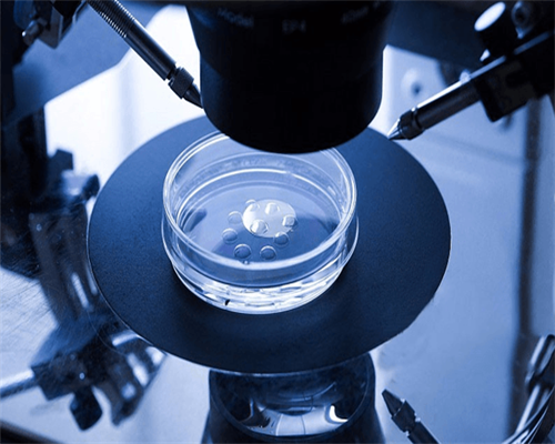 38岁试管移植成功了吗&少精试管成功率,南昌大学第一附属医院做试管婴儿助孕