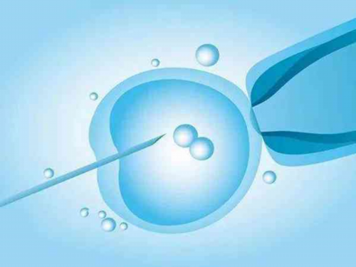 武汉试管代怀套餐,武汉试管费用(武汉做试管费用需要多少)