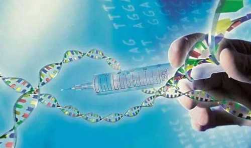 37岁做试管成功率多高&正规渠道的供卵,请问女性在一次胎停后下次备孕需要做