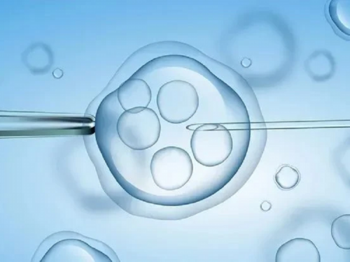 精子质量啥样就算弱精了？怎么做能提高精子质量呢？