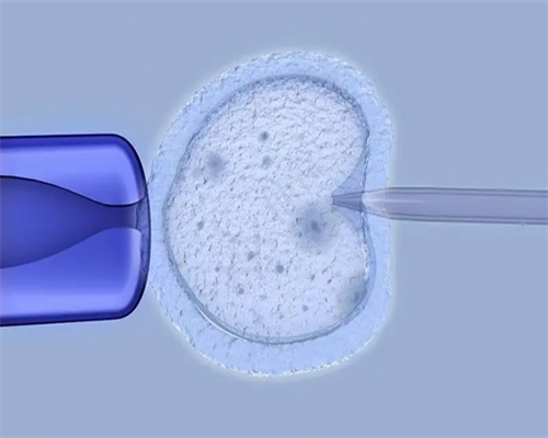 武汉供卵助孕费用,武汉包生男孩电话，武汉试管婴儿医院