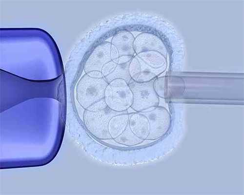 武汉哪里有供卵试管的,武汉三代供卵试管介绍