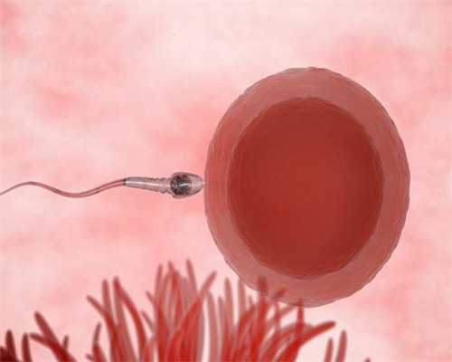 2026武汉私立试管婴儿机构费用明细表,武汉人民医院三代试管费用收取标准表