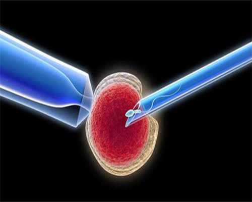 武汉医院做代孕多少钱,武汉供卵试管费用（武汉试管婴儿捐卵供卵）