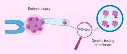 武汉试管供卵网,武汉同济医院-武汉试管婴儿收费标准
