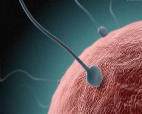 武汉哪家代生靠谱,上海试管供卵多少钱，武汉供卵费用多少钱