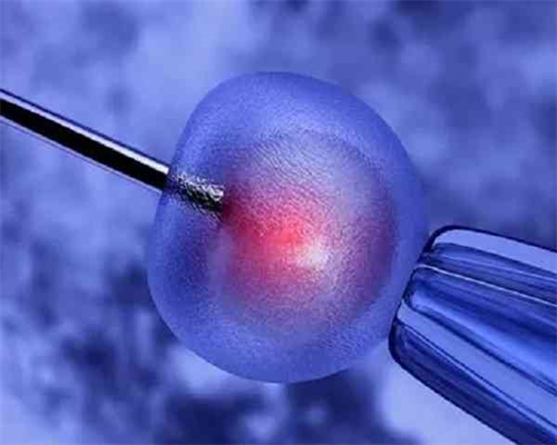 武汉代生上门洽谈,武汉供卵捐卵,武汉捐卵乱象调查