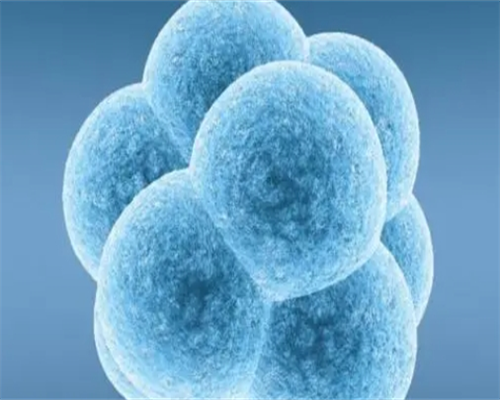 武汉有偿捐卵公司,武汉同济医院供卵代孕婴儿冷冻几个胚胎？提高胚胎成活率