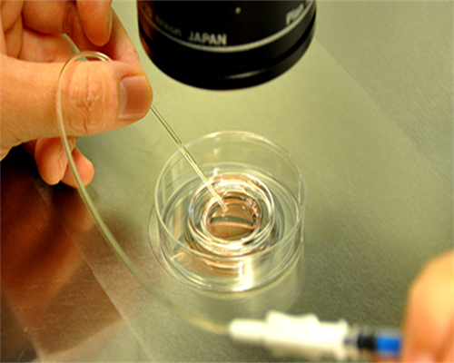 武汉供卵哪里可靠,武汉同济试管,武汉同济最省钱试管攻略