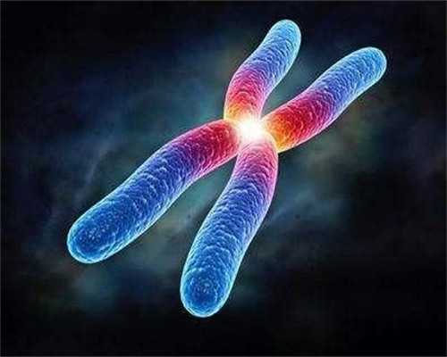 武汉去代怀要多少钱,武汉供卵卵子的价格