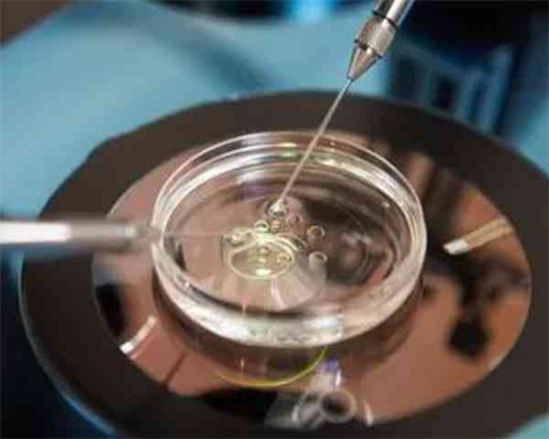 同志爱人的代孕之路_财新&弱精还能做试管吗,2026牡丹江不孕不育医院排名，选