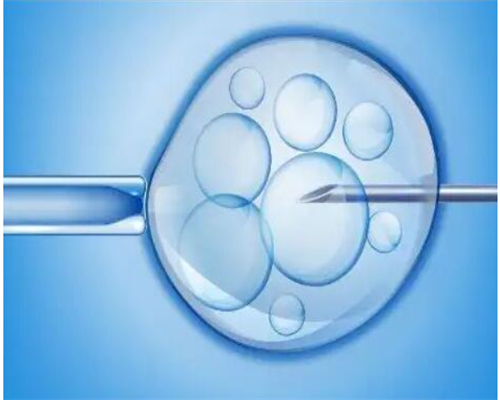 武汉供卵试管医院大概多少钱,武汉正规供卵试管医院