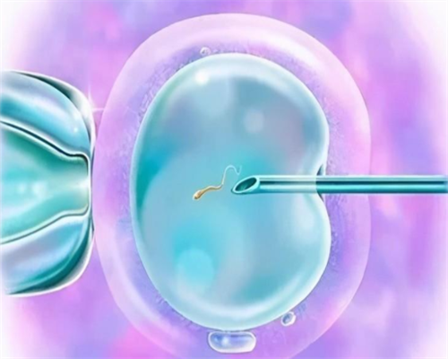 武汉供卵正规,武汉试管供卵（武汉最大的助孕公司）