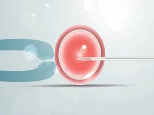 绝经两年了还会怀孕吗&供卵买卖,备孕5年胎停3次需要做试管吗做试管的好处有