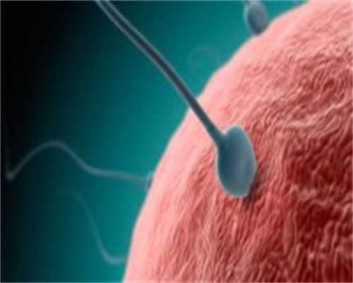 武汉正规代孕公司价钱,武汉供卵要花多少钱(在武汉做试管要多少钱)