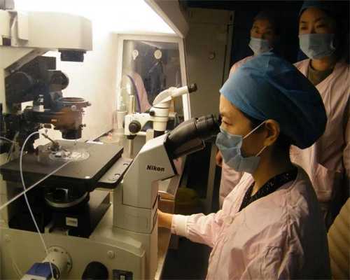 武汉试管代怀价格,武汉试管费用(武汉做试管费用需要多少)