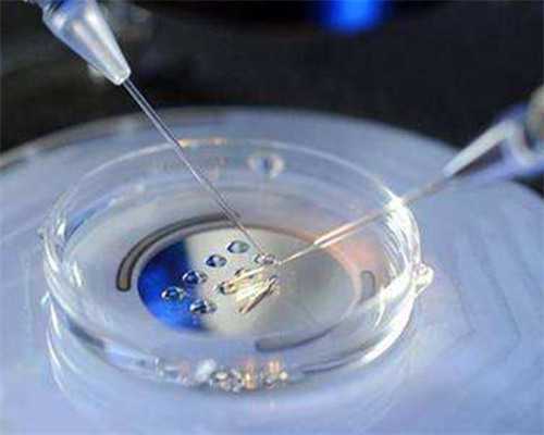 去哪里能找到供卵源&有供卵试管的姐妹吗,试管婴儿助孕期间能喝蛋白粉吗？