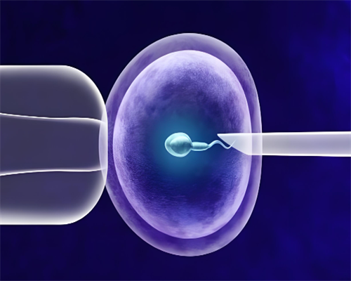 武汉代生总价格,武汉供卵子,在武汉做供卵代孕婴儿要多少钱？费用医保能报销