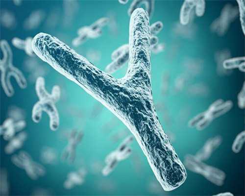 武汉怎么申请代生,武汉做试管的医院,武汉哪个医院做试管