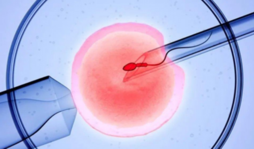 武汉代生市场价,捐卵联系方式武汉,正规捐卵联系方式