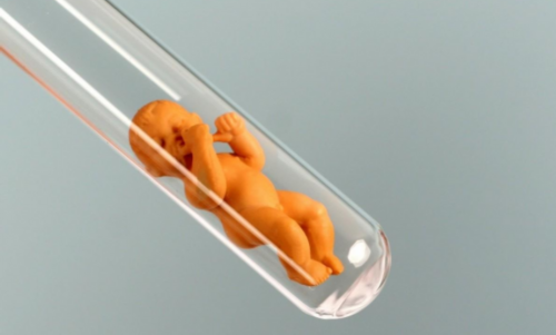 武汉最好的助孕公司,武汉正规供卵助孕公司排名