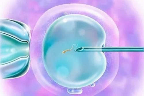 武汉优康供卵,武汉哪里有供卵机构不用等的