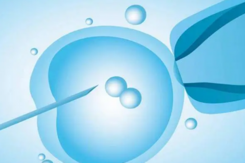 武汉专业代生小孩,武汉三代试管助孕孩子-武汉辅助生殖中心