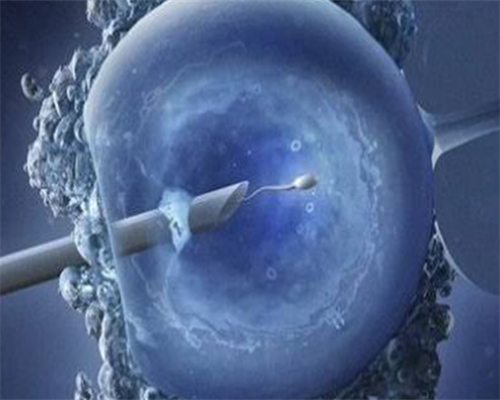 武汉正规供卵费用,武汉同济供卵代孕婴儿咨询：真正的过程经历