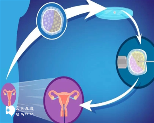 生殖医院供卵要等多久&有代孕妈,重庆七星岗妇幼做试管的医生七星岗妇幼做试