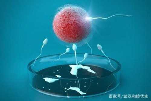 武汉最好供卵机构,武汉协和供卵代孕成功案例多吗？试管宝宝有遗传病吗