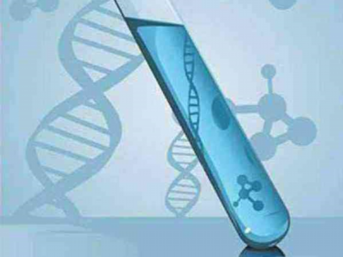 amh0.24做试管成功率&供卵是不是三代试管,备孕吃什么好？促排卵可以吃谷类食物