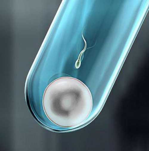 武汉权威试管代孕医院,武汉供卵试管流程,武汉供卵试管中心