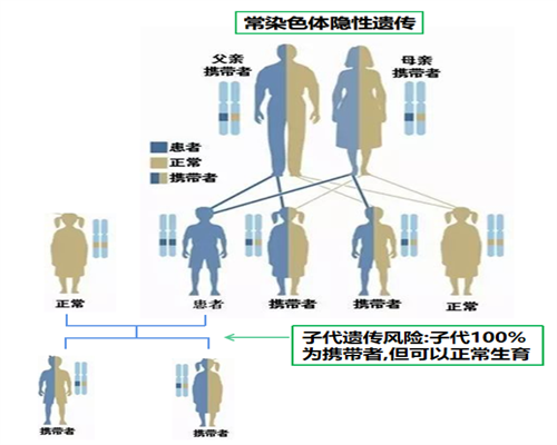 武汉供卵成功率,武汉同济试管,武汉同济最省钱试管攻略