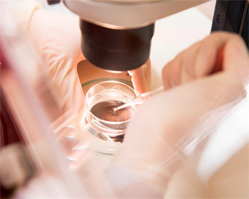 武汉怎么去做代怀,武汉代怀孕捐卵女孩