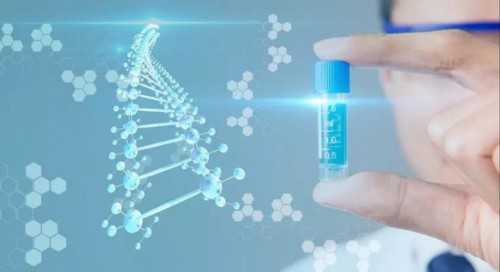 武汉代生生子价格,武汉助孕医院(武汉试管助孕医院)