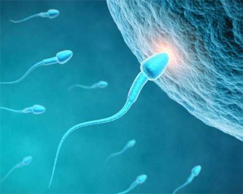 26岁卵巢早衰怎么治疗&哪里能做供卵试管,准备备孕之前吃这5种食物-能调理身体