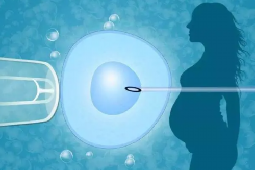 武汉市人民医院办三代试管婴儿需要多长时间？听说很贵的！