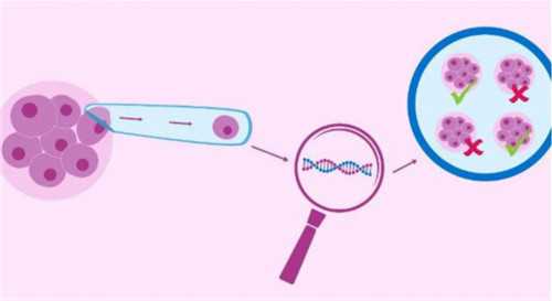 武汉找代孕哪家好,武汉协和做试管费用(武汉协和2026试管费用)