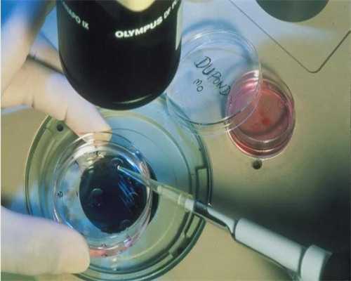 湖北拥有试管婴儿助孕技术的有几家