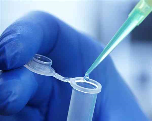 供卵可以做无创dna吗&那个医院做代孕好,孕期几天能不能吃当归