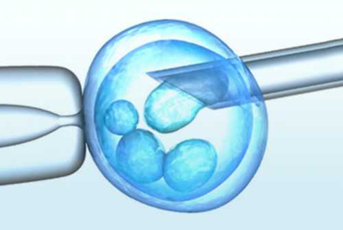 武汉供卵助孕价格,武汉做试管的医院,武汉哪个医院做试管