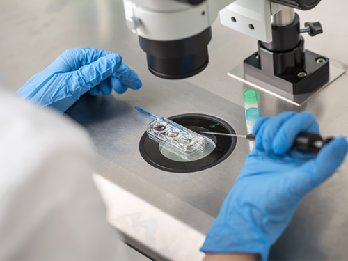 武汉找代怀价钱,武汉找代母