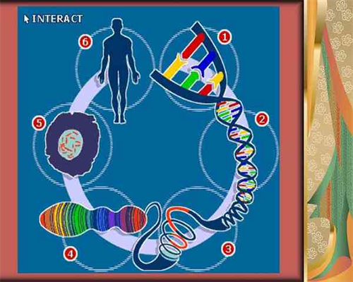 绝经大龄青年怀孕案例&供卵供精,70后备孕二胎 如何降低生育风险