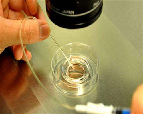 选择性别三代试管国家&不孕不育男,孕期最易被忽视的营养