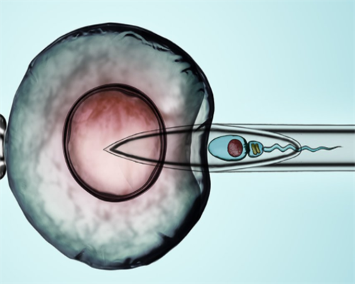 找武汉代妈价格,武汉急求代妈