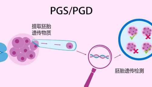 武汉代生官网,武汉供卵助孕试管(武汉供卵试管助孕机构)
